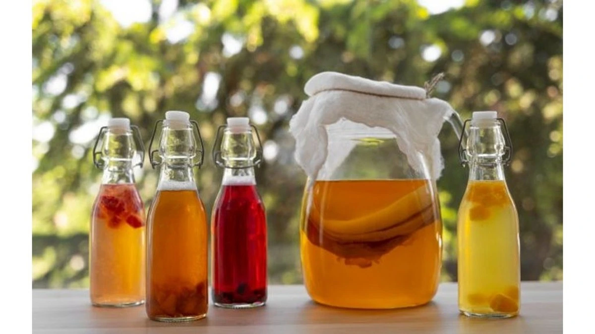 ¿Quiénes son los que *nunca* deberían beber kombucha? Descúbrelo antes de que sea tarde. - Escuelas Saludables