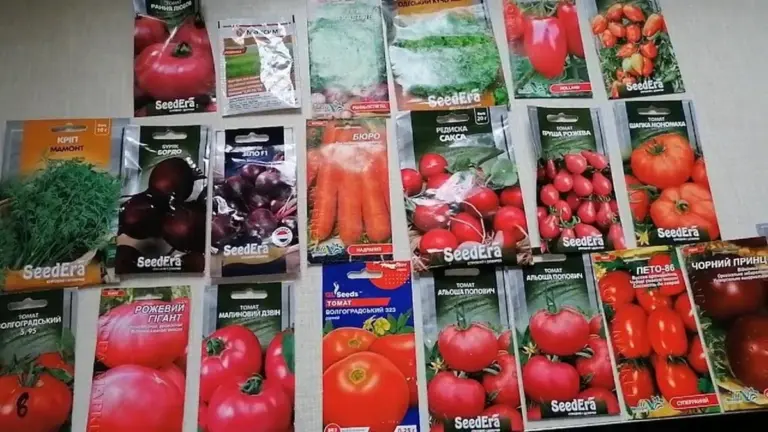 Siembra temprana: El error que arruina tus plantas cuando llega el frío extremo