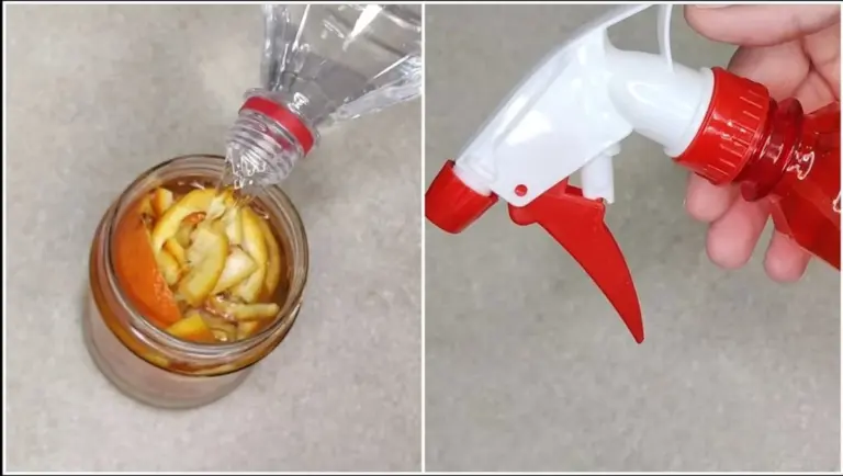 Adiós a los Limpiadores Químicos: Hice Mi Propio Limpador Casero con 4 Cáscaras de Mandarina