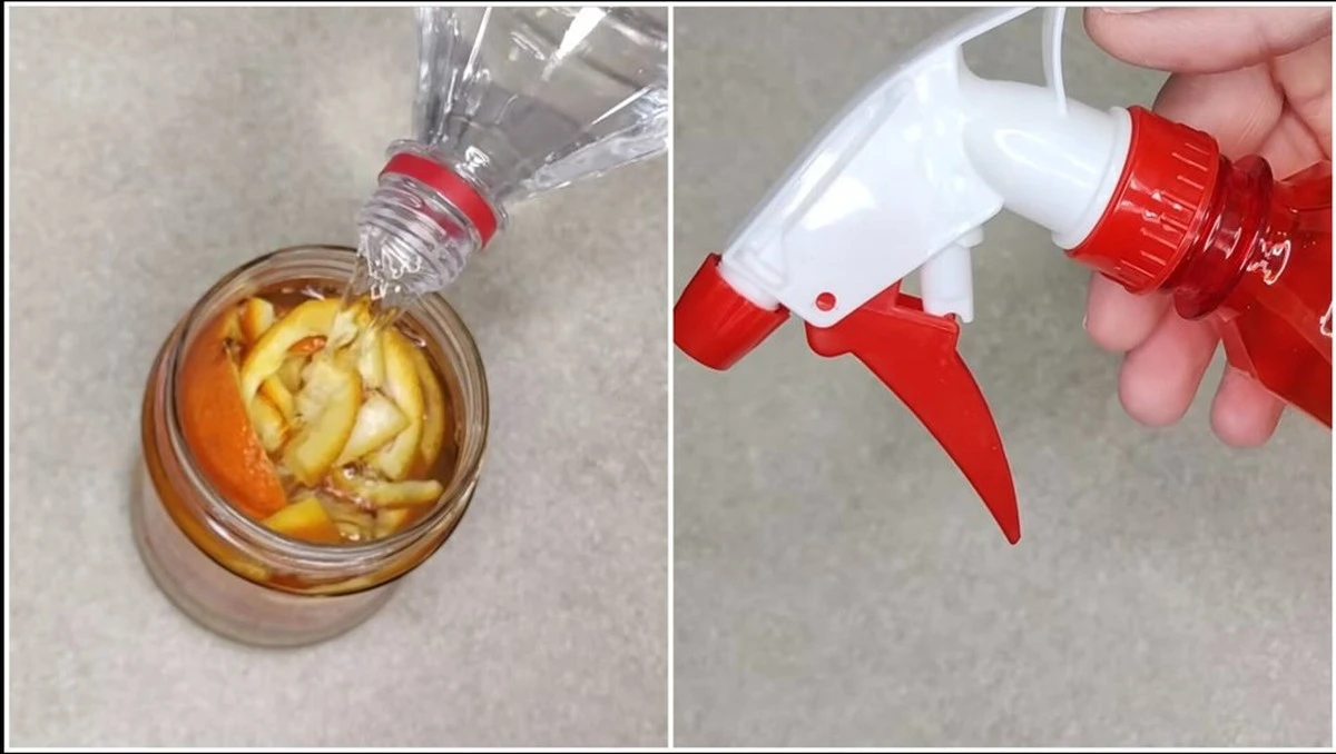 Adiós a los Limpiadores Químicos: Hice Mi Propio Limpador Casero con 4 Cáscaras de Mandarina