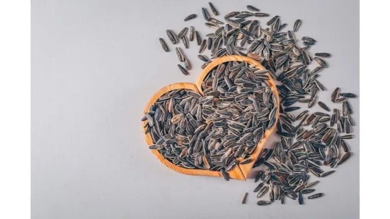 Cómo usar cáscaras de girasol en tu jardín y hogar: 3 trucos de tu abuela