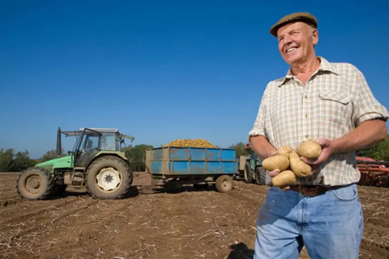 El secreto de la longevidad: 25 años de estudio revelan el único hábito crucial de los centenarios (y no es la dieta)