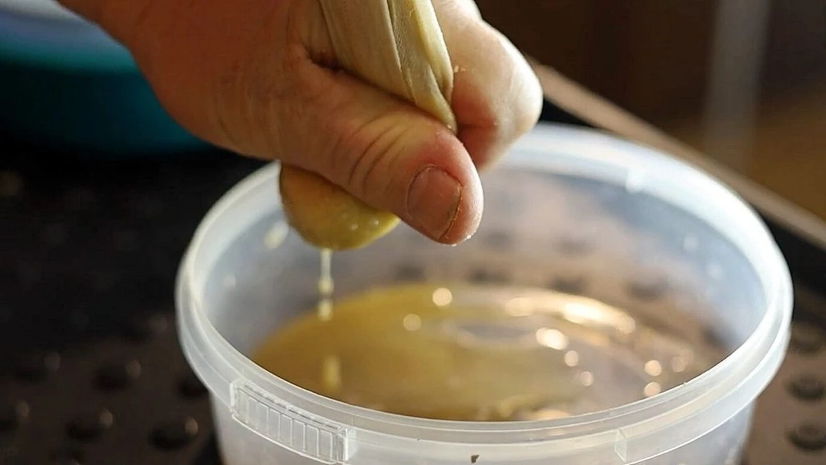 La receta de mi abuela para que las semillas germinen en 3 días (mi vecino está asombrado)