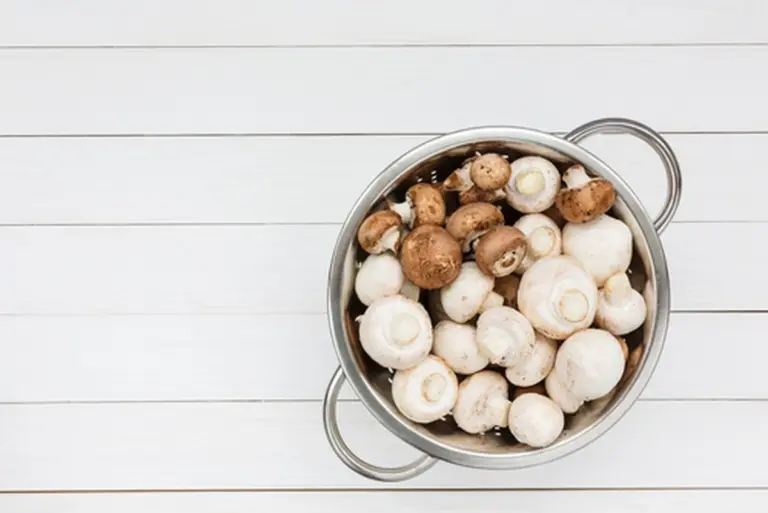Por qué las cocineras de antaño no lavan las setas con agua