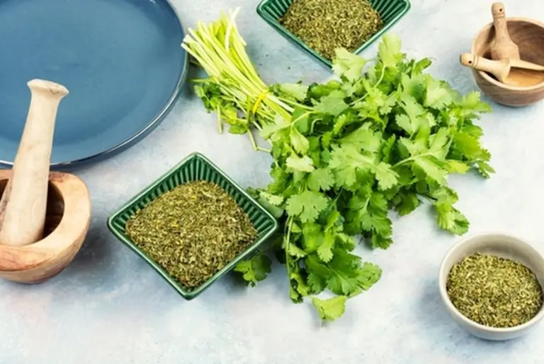 Por qué no debes añadir cilantro a tu batido detox (y cómo usarlo bien)